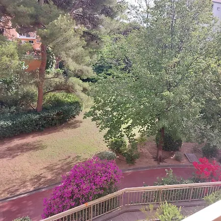 Bord De Hyères