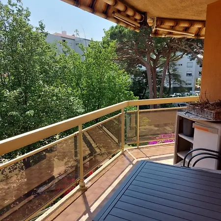 Bord De Appartement *